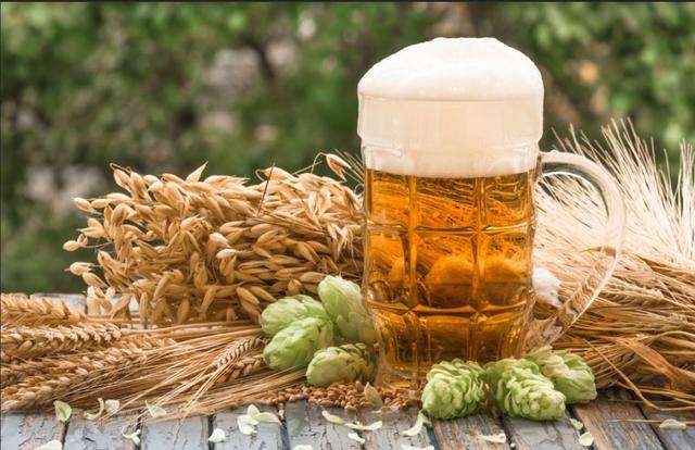 九游在线官方官网