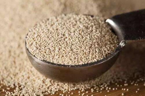 九游在线官方官网