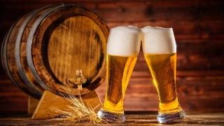 精酿九游在线官方官网