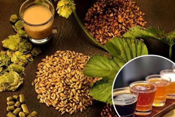 精酿啤酒--山东豪鲁九游在线官方官网