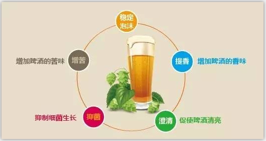 精酿九游在线官方官网