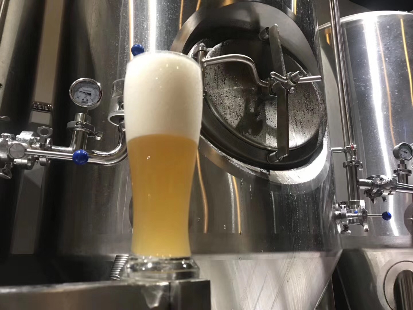 精酿九游在线官方官网